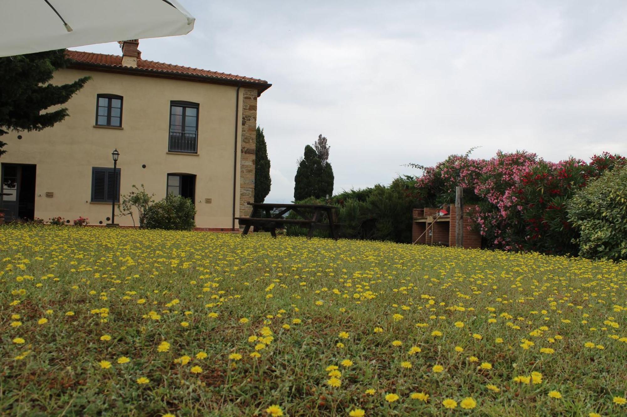 Ferienwohnung Casale Poggio Meone Santa Luce Exterior foto